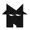 Team Nemesis